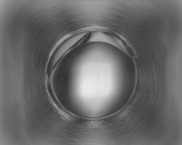 X0000052971418200507300125