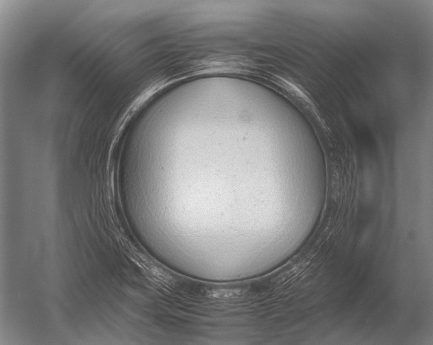 X0000052971419200507300125