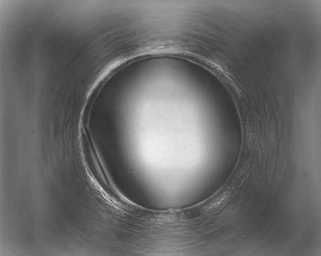 X0000052971422200507300125