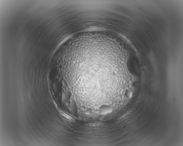 X0000052971425200507300126