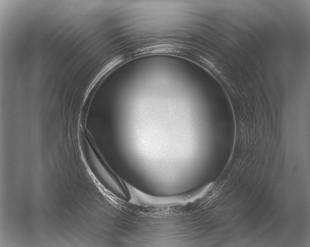 X0000052971426200507300126