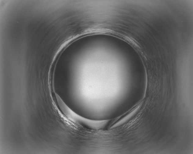 X0000052971430200507300126
