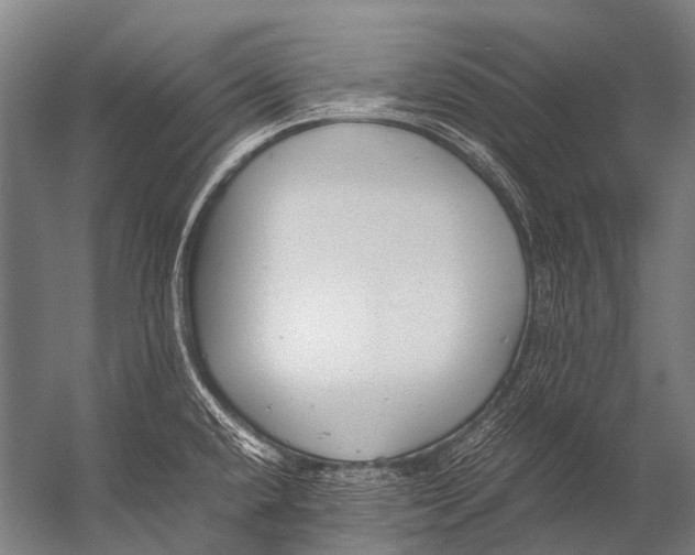 X0000052971432200507300126