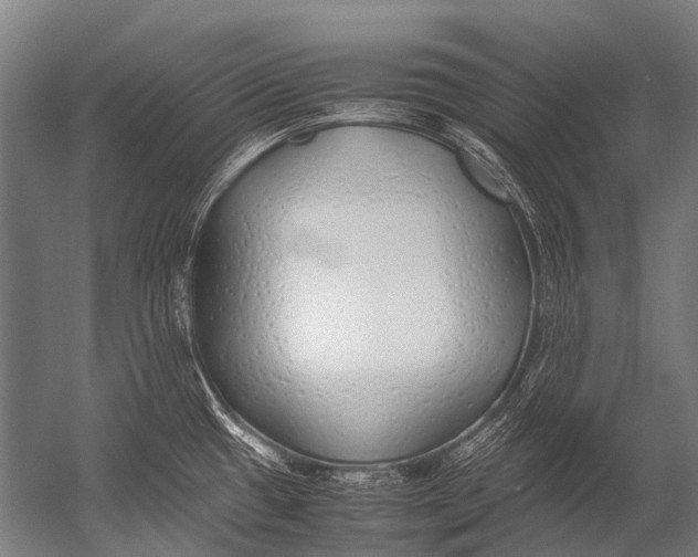 X0000052971433200507300126