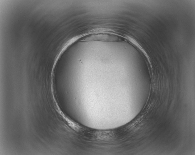 X0000052971437200507300126