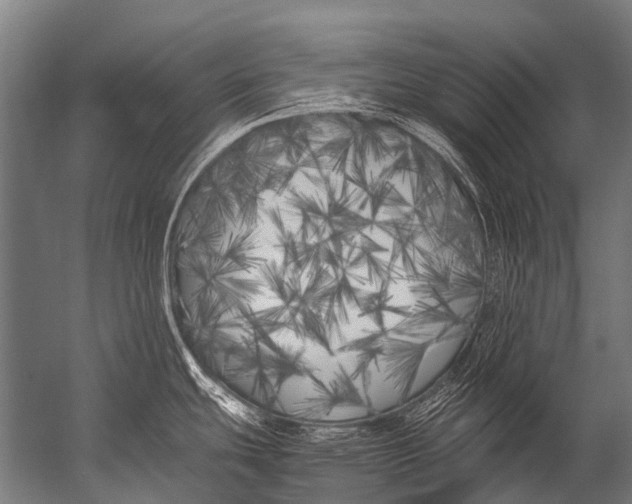 X0000052971439200507300126