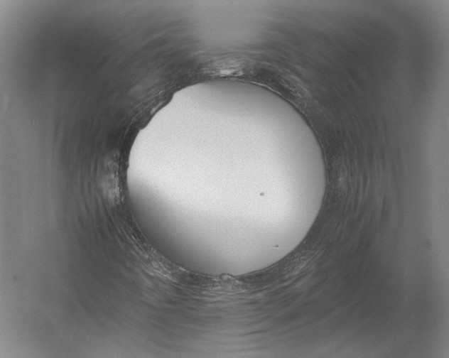 X0000052971442200507300125