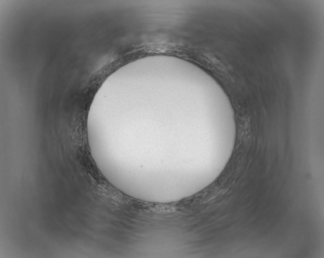 X0000052971446200507300125