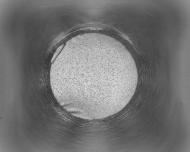 X0000052971448200507300125