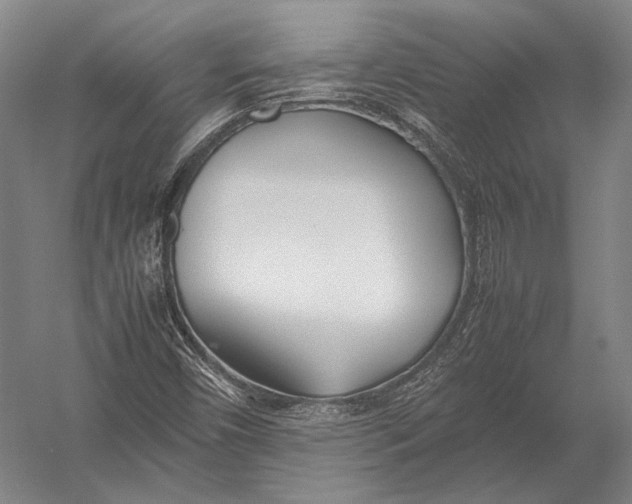 X0000052971450200507300125