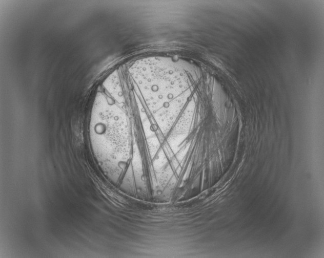 X0000052971451200507300125