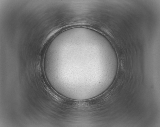 X0000052971452200507300125