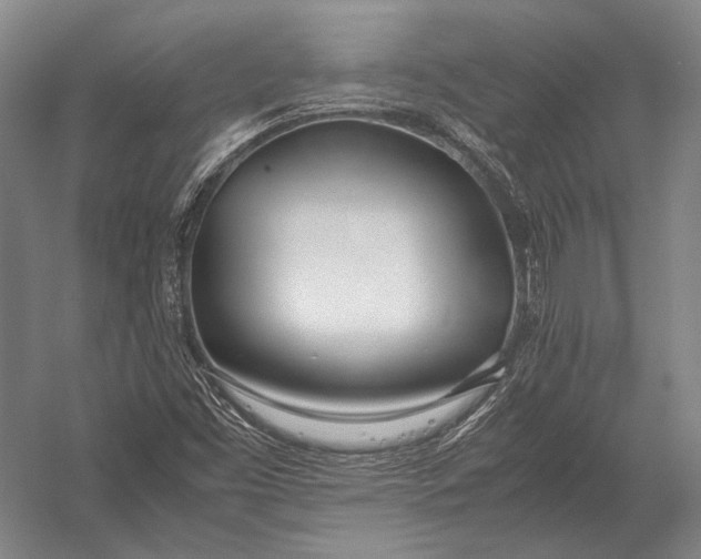 X0000052971453200507300125