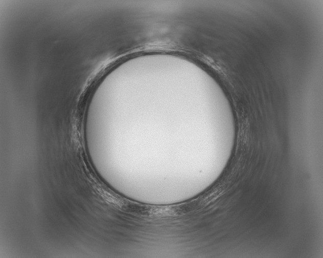 X0000052971454200507300125