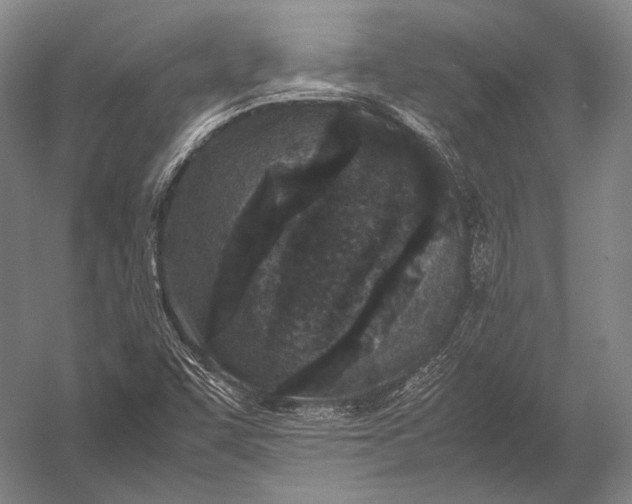 X0000052971455200507300125