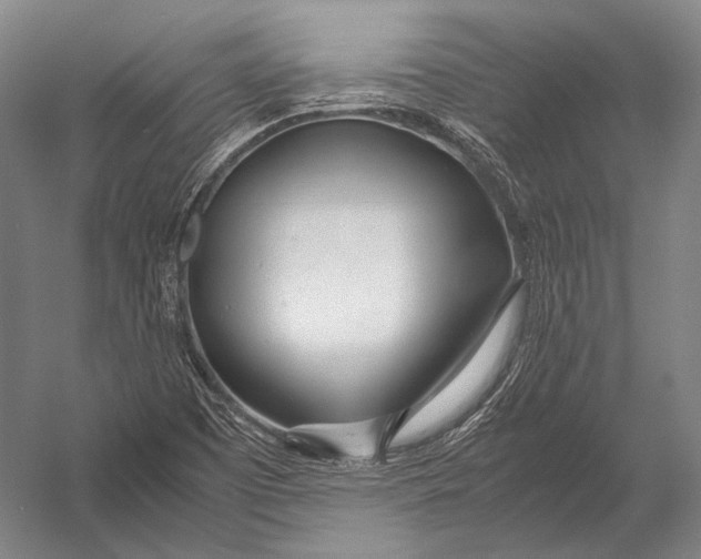 X0000052971457200507300125
