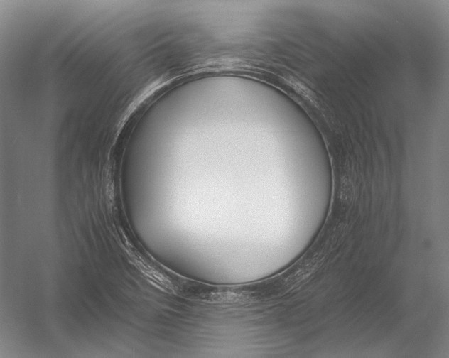 X0000052971458200507300125