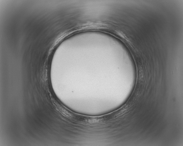 X0000052971459200507300125