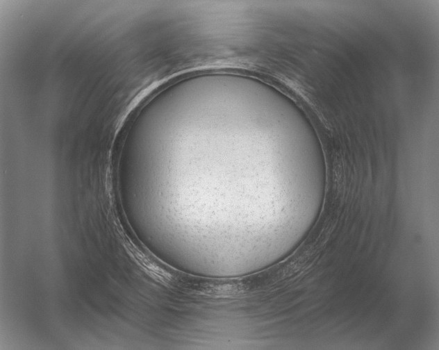 X0000052971460200507300125