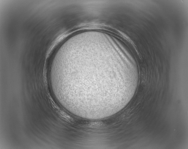 X0000052971464200507300125