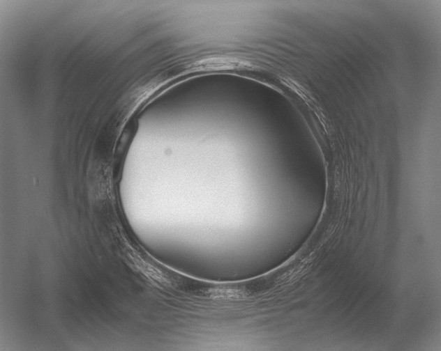 X0000052971465200507300125