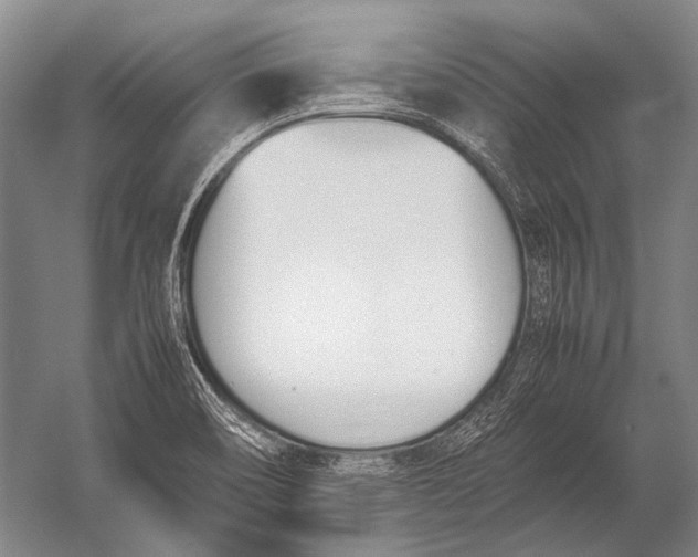 X0000052971466200507300125