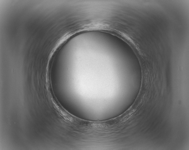 X0000052971469200507300125