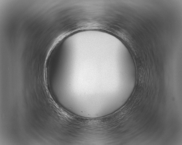 X0000052971472200507300124