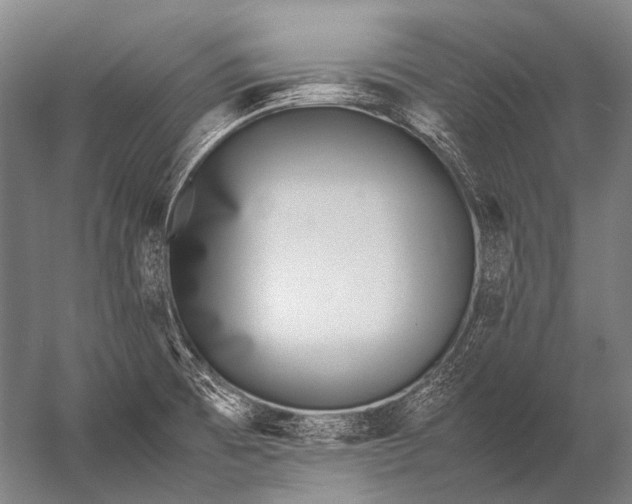 X0000052971473200507300124