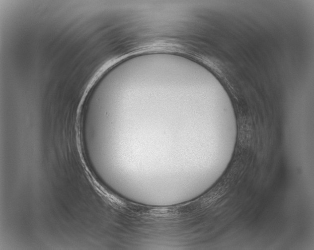 X0000052971478200507300124