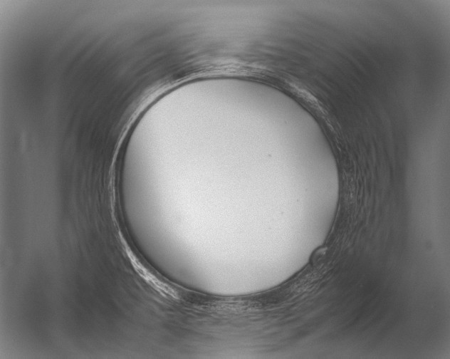 X0000052971479200507300124