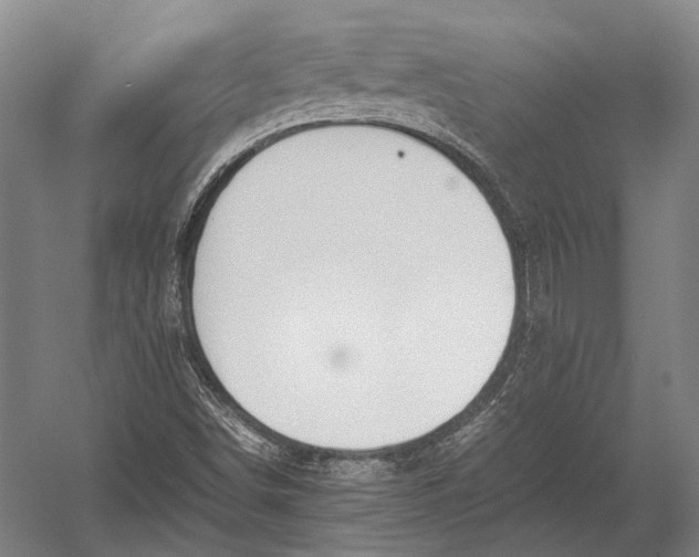 X0000052971498200507300124
