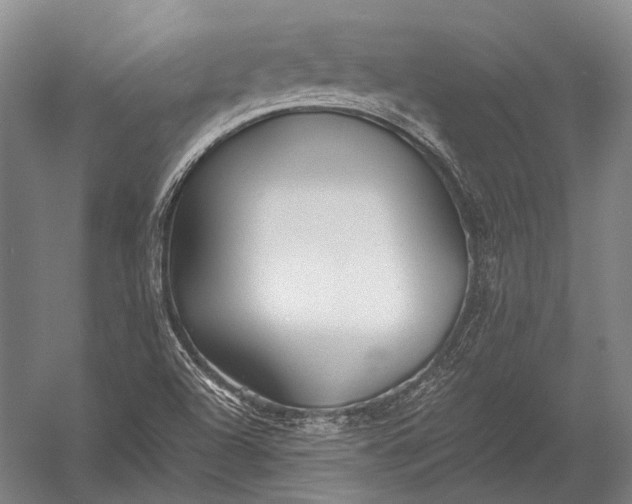 X0000052971504200507300124