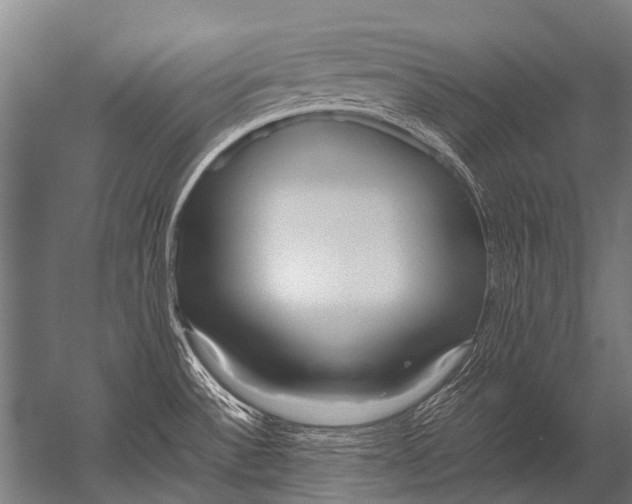 X0000052971532200507300124