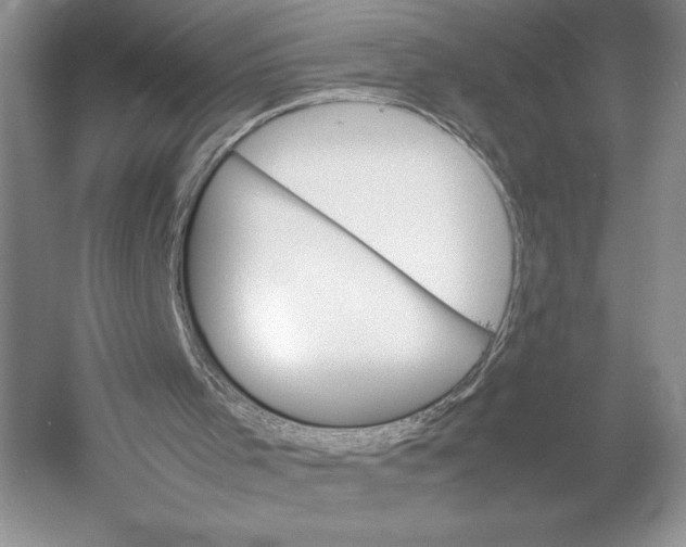 X0000052970001200508051027