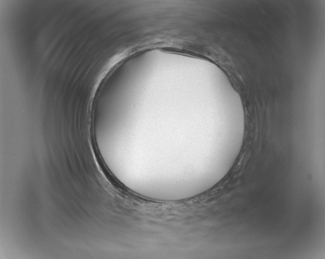 X0000052970003200508051027