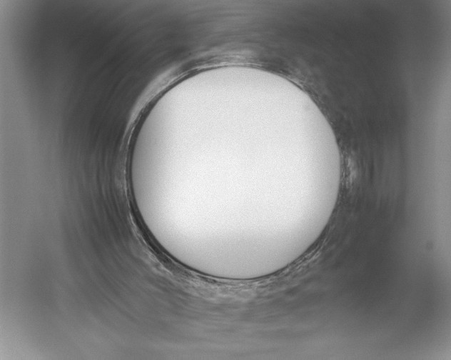 X0000052970004200508051027