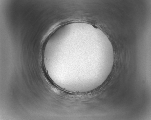 X0000052970005200508051027