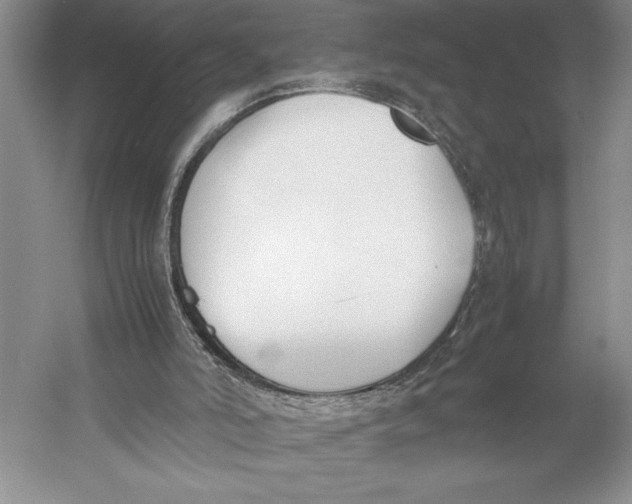 X0000052970006200508051027