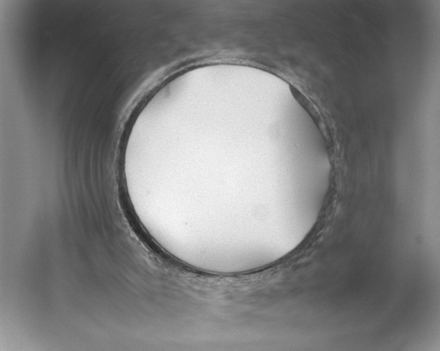 X0000052970007200508051027