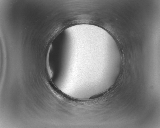 X0000052970013200508051027