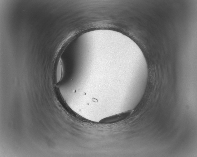 X0000052970015200508051027