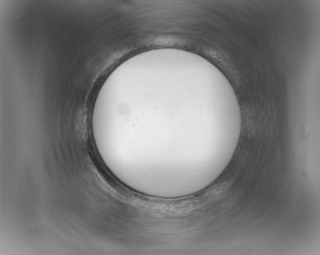 X0000052970016200508051026