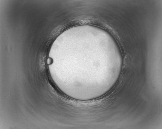 X0000052970018200508051026