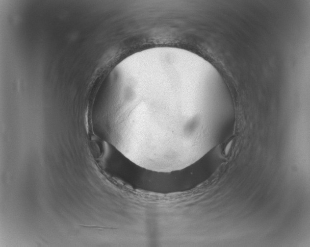 X0000052970019200508051026