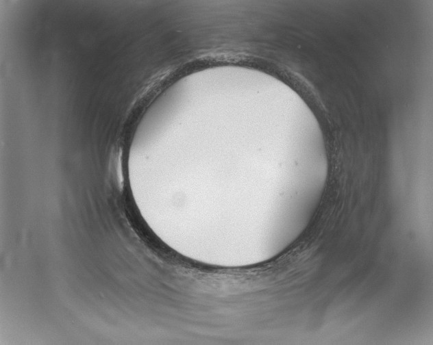 X0000052970020200508051026