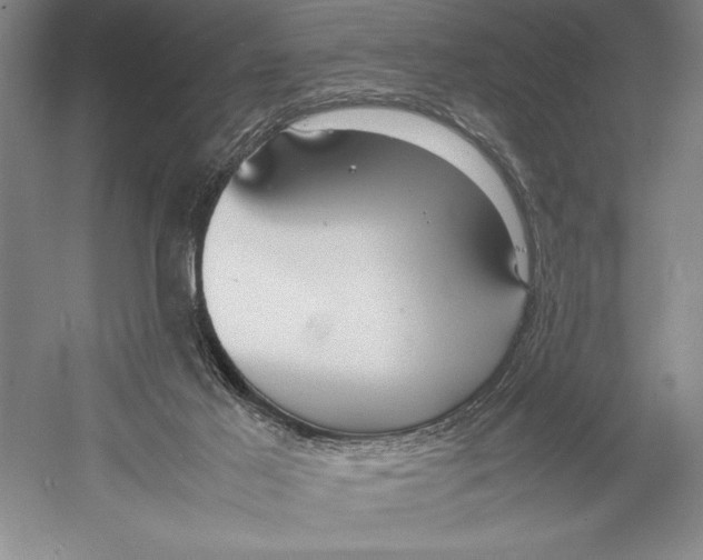 X0000052970021200508051026