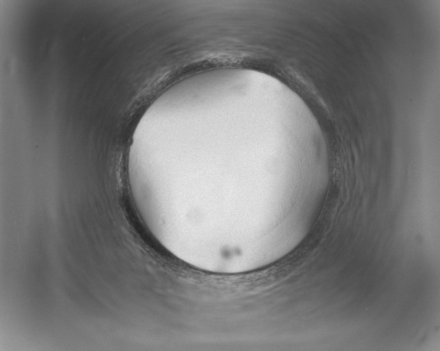 X0000052970023200508051026