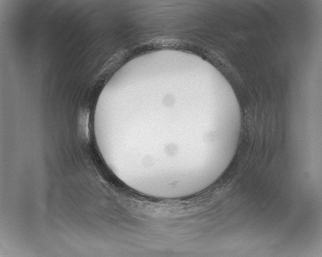 X0000052970024200508051026