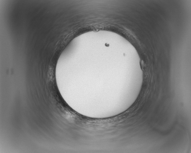 X0000052970025200508051026